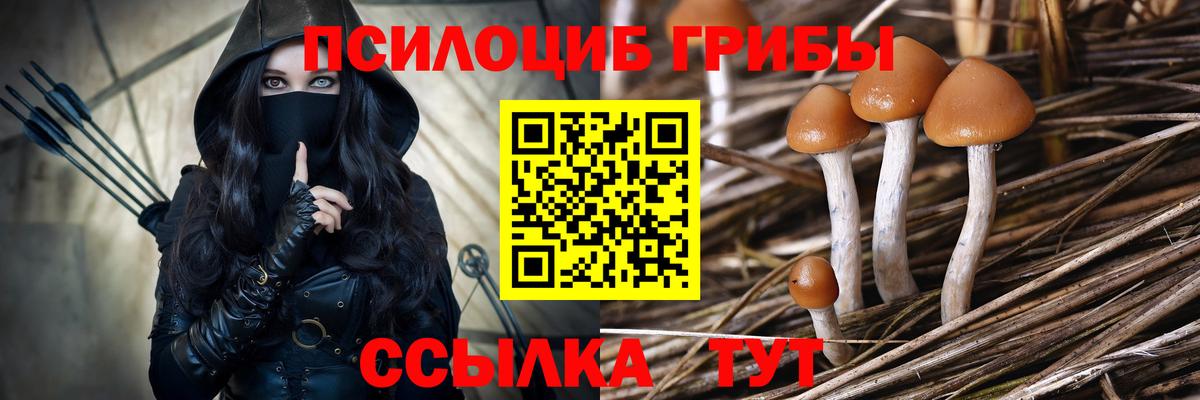 купить  сайты  Галлюциногенные грибы мухоморы  Вход с VPN  Иркутск 